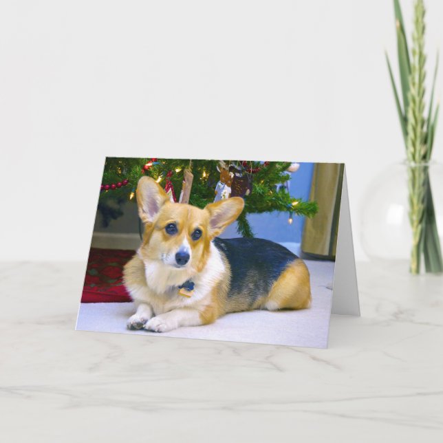 Söt julCorgi Helgkort (Framsida)