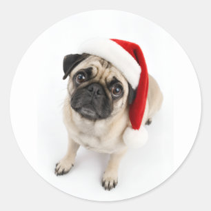 Söt julfawn mops jultomte mössa valp ögon runt klistermärke