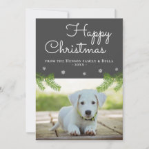 Söt julgran gren snöflinga hund foto