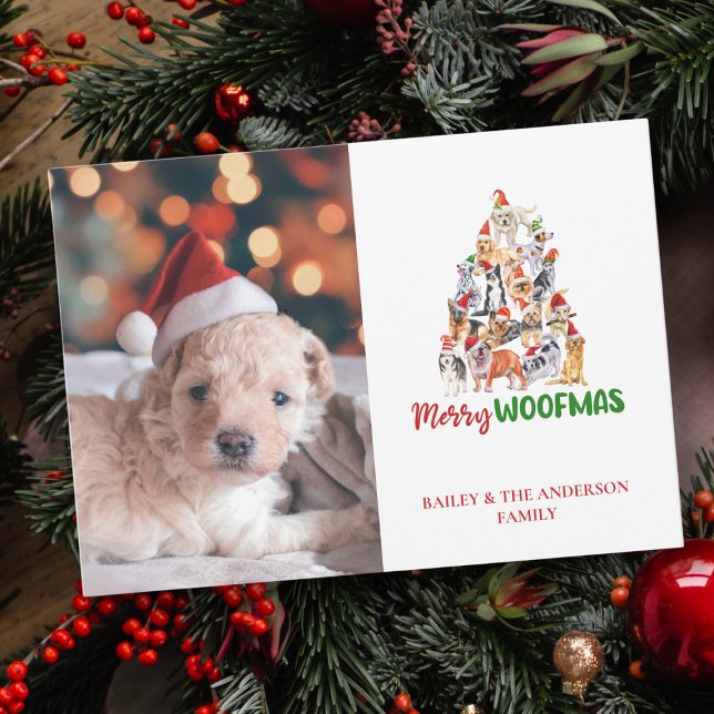 Söt julhund God Julmas Pet Foto Julkort (Skapare uppladdad)
