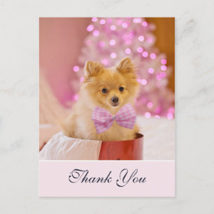 Söt julhund med rosa rosett Foto Tack Vykort