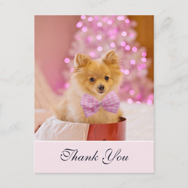 Söt julhund med rosa rosett Foto Tack Vykort (Framsida)