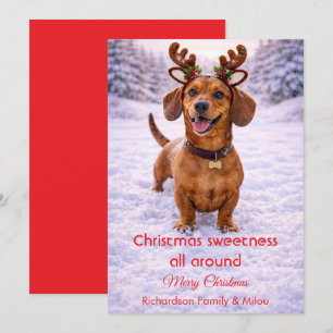 Söt julhund Söt Citat   Julkort