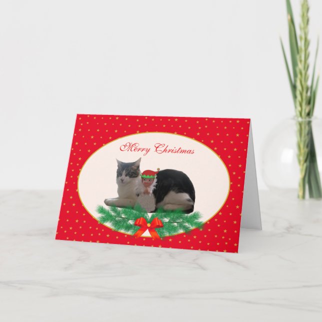 Söt julkatt & ängelalf på röd kort (Framsida)