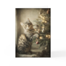 Söt julkatt