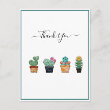 Söt Kaktus Grönska Blomma