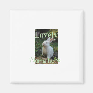 Söt kanin kanin husdjur foto namn grön pastell magnet