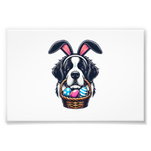 Söt kaninör Saint Bernard Hund Påskägg Ägare Fototryck