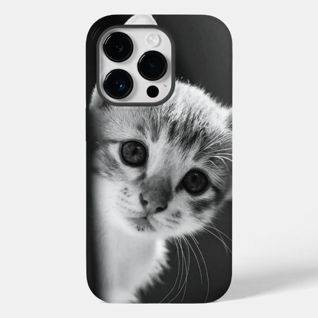 söt katt (Baksida)