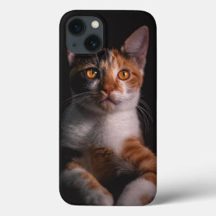 Söt katt