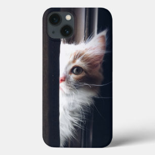 Söt katt