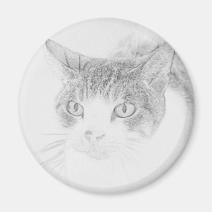Söt Katt Ansikte Skiss Magnet