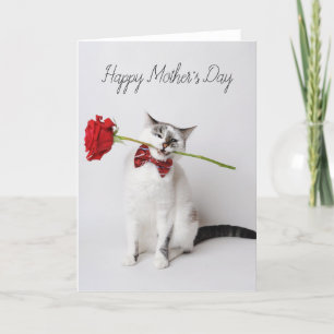 Söt katt av lycklig Mors dag med gula blommor Ca Tack Kort