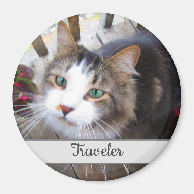 Söt Katt Husdjursälskare Skapa Din Egen Anpassad Magnet (Framsidan)