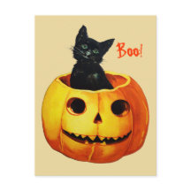 Söt katt i pumpa Vintage Halloween vykort