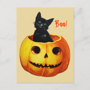 Söt katt i pumpa Vintage Halloween vykort