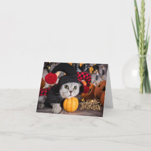 Söt katt i rolig Halloween-kostym Kort