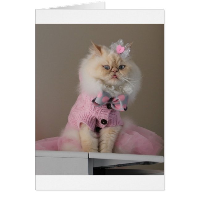 Söt katt i Rosa Sweater Hälsningskort (Framsidan)