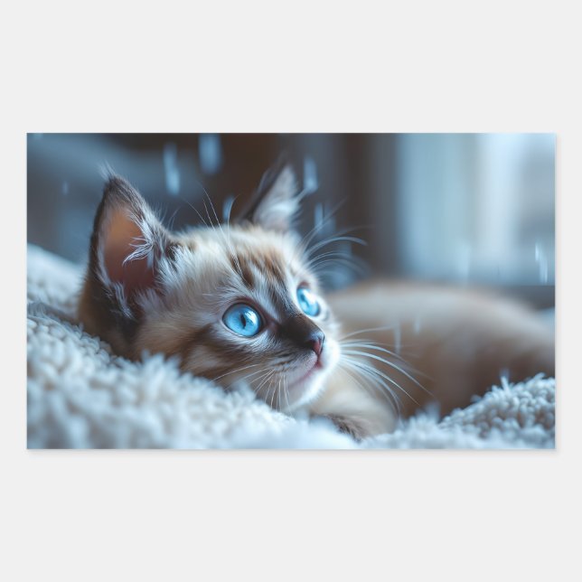 Söt Katt- Klistermärke  (Framsida)