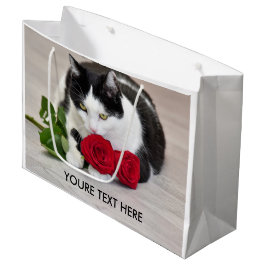 Söt katt med den röda rosen