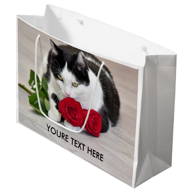 Söt katt med den röda rosen (Framsidan Vinklad)
