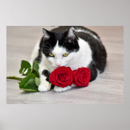 Söt katt med den röda rosen poster