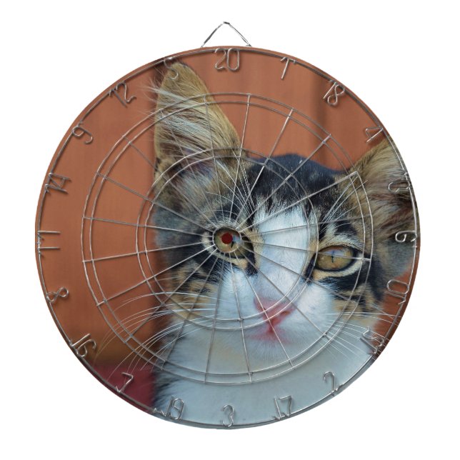 Söt katt med öga piltavla (Framsidan)