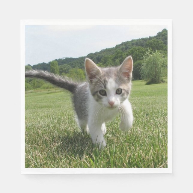 Söt katt pappersservett (Framsidan)