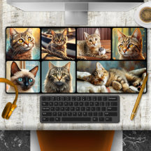 Söt katt personlig fotokollage
