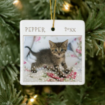 Söt kattdjur 2 bilder stjärnmönster jul
