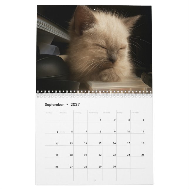 Söt kattkalender för 2026 kalender (Sep 2027)