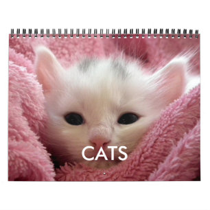 Söt kattkalender Rosa mysig kattälskare Kalender