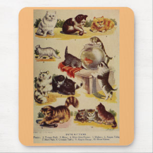 Söt kattkattkattkattkattkattkattkattkattdiagram musmatta