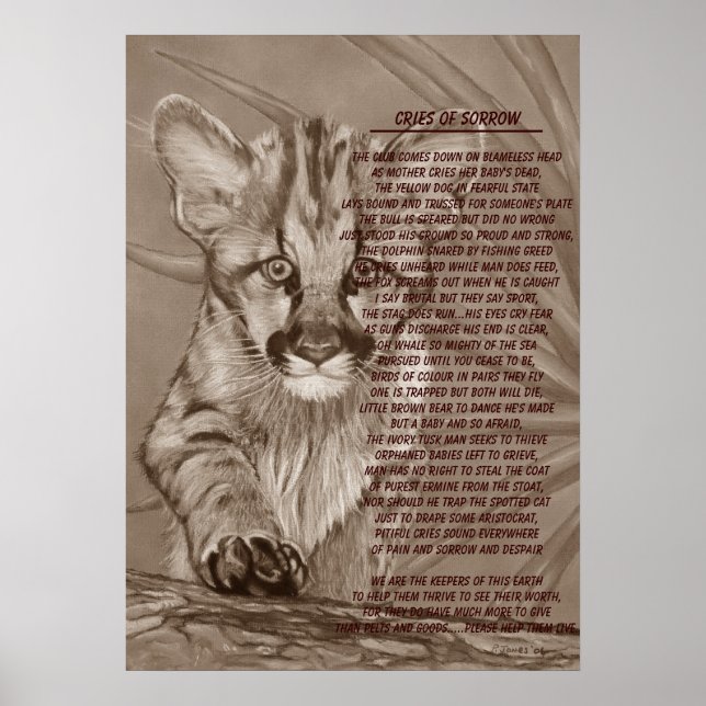 Söt kattkattkattkattkonst poster (Framsidan)