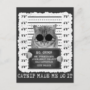 Söt kattsnille Fick Mig Att Göra Det Katt Mugshot Vykort