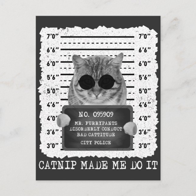 Söt kattsnille Fick Mig Att Göra Det Katt Mugshot Vykort (Framsida)
