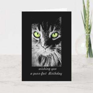 Söt kattunge Birthday Card-fotokonst humoristisk Kort