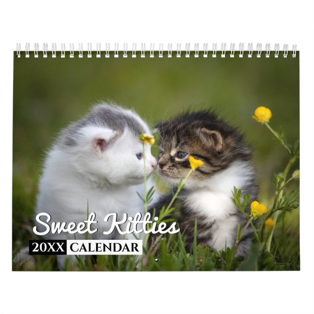 Söt Kattunge-fotoväggskalender Kalender (Omslag)