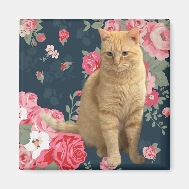 Söt Kattunge Magnet (Framsidan)