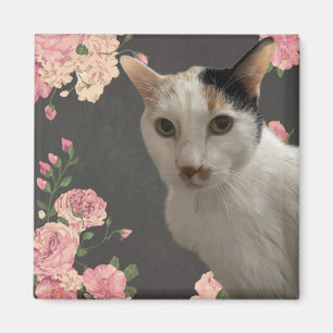 Söt Kattunge Magnet
