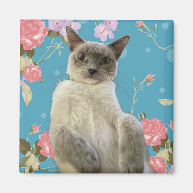 Söt Kattunge Magnet (Framsidan)