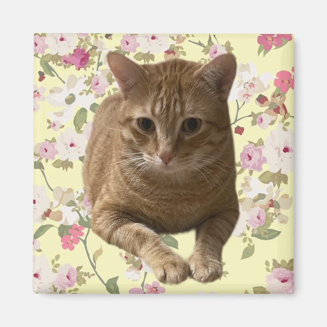 Söt Kattunge Magnet (Framsidan)