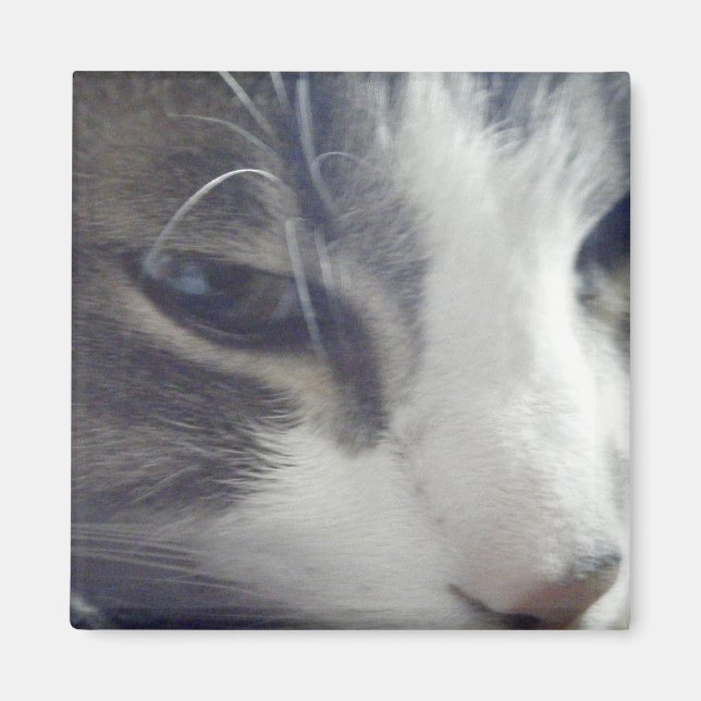 Söt Kattunge Magnet (Framsidan)