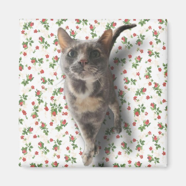 Söt Kattunge Magnet (Framsidan)