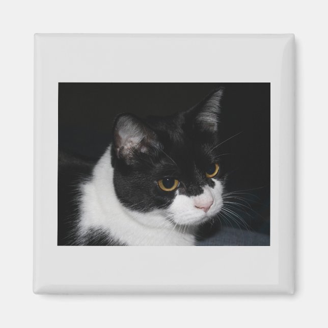 Söt Kattunge Magnet (Framsidan)