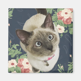 Söt Kattunge Magnet