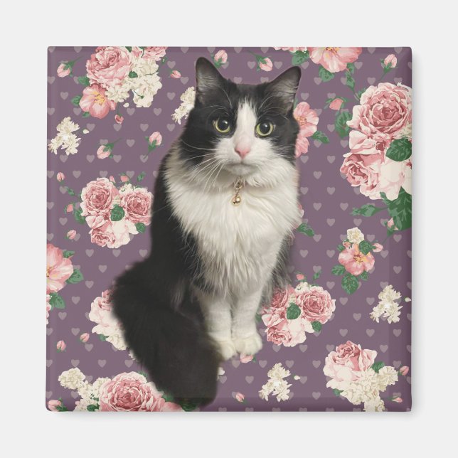 Söt Kattunge Magnet (Framsidan)