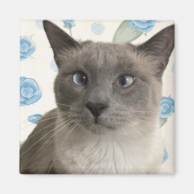 Söt Kattunge Magnet (Framsidan)
