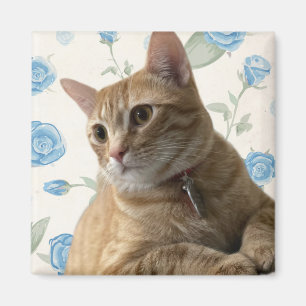 Söt Kattunge Magnet