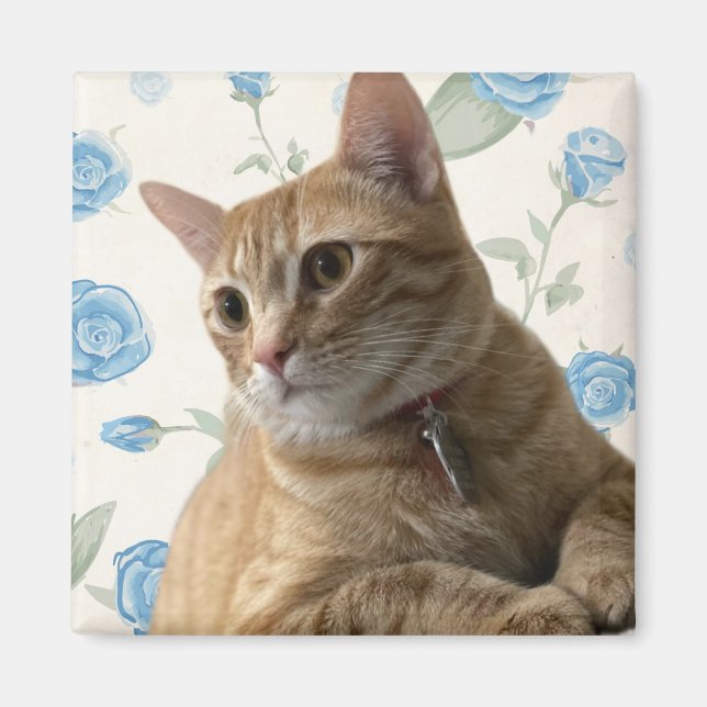 Söt Kattunge Magnet (Framsidan)